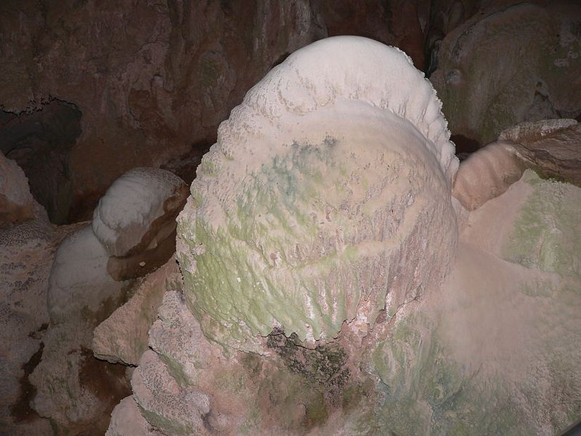 Avustralya, Yeni Güney Galler, Jenolan Mağaraları'nda tuz tutumlu stromatolit.