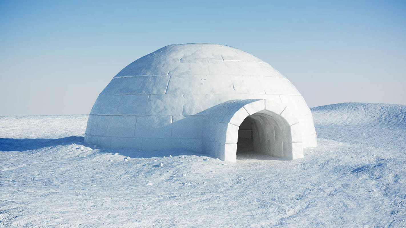 iglo nedir arktik bolgesinde yasayanlarin yaptiklari buzdan evler bir insani gercekten isitabilir mi evrim agaci