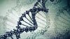 Hurda DNA Nedir? DNA’mızın Çoğu Hurda mı?