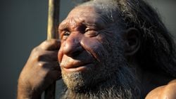 Neandertaller Ne Yiyorlardı?