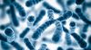Kromozomal Bozukluklar: Kromozomlarda Meydana Gelen Değişimler Nasıl Hastalıklara Neden Oluyor?
