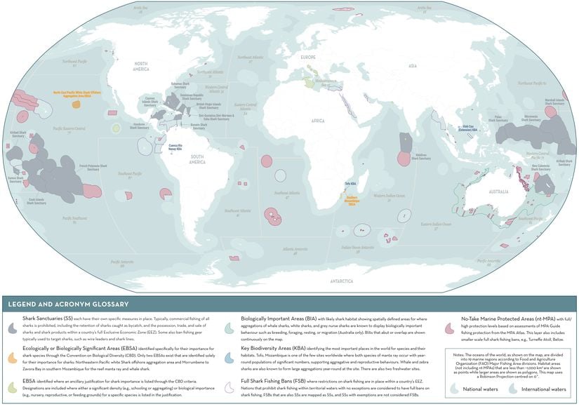 Köpekbalıklarının korunmasını gerektiren alanların haritası