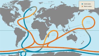 Okyanus Akıntıları, Farklı İklim Değişimi Modelleri Arasındaki Bazı Tutarsızlıkların Nedeni Olabilir!