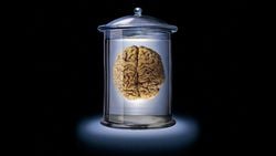 Kavanozdaki Beyinler (BIV) Argümanı: Hepimiz Kavanozdaki Beyinler Olabilir miyiz?