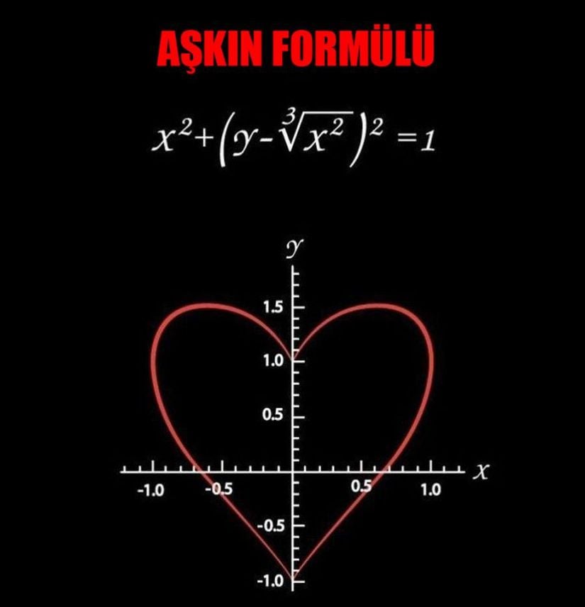 Aşkın Formülü