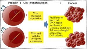 Viruses Linked To Alarming Cancer Rates