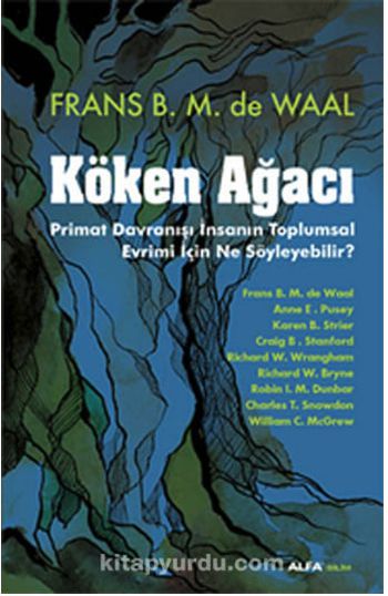 Köken Ağacı