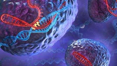 Kanser Genetiği: Tümör Baskılayıcı p53 Geni ve Bu Gendeki Mutasyonlar, Kanseri Nasıl Etkiliyor?