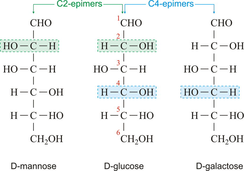 Epimer, sadece bir asimetrik karbon bakımından farklılık gösteren iki moleküle denir. Epimerizasyon, bir epimerin diğer epimere dönüştürülmesidir. Glikoz gösteriminde yer alan 2. ve 4. karbondaki hizalanmanın kendi içerisindeki değişimi direkt olarak 6 karbonlu diğer monosakkaritlere dönüşmesine sebep olur.