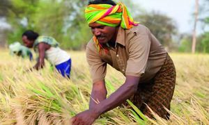 East Godavari Prepares For Paddy Procurement