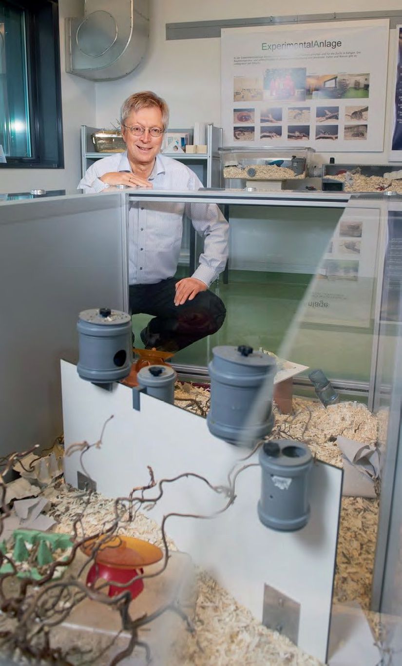 Diethard Tautz, Max-Planck Evrimsel Biyoloji Enstitüsü’nün misafir odasındaki demonstrasyon alanında. Burada fareler çeşitlilik içeren bir çevrede hemen hemen doğal koşullar altında yaşamaktadır. Asıl deney odaları aynı yapısal elemanlarla donatılmıştır.