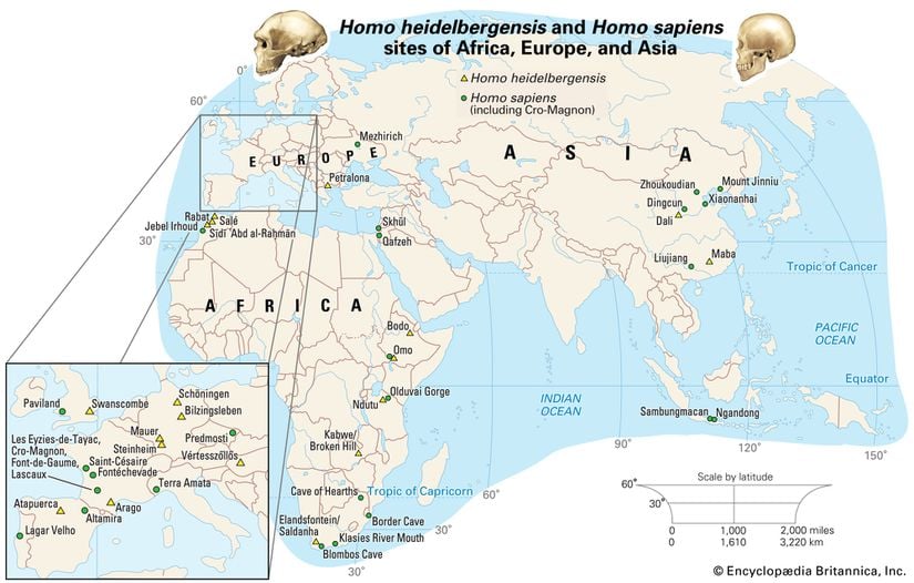 Asya, Avrupa ve Afrika'daki Homo heidelbergensis ve Homo sapiens buluntu sahaları.