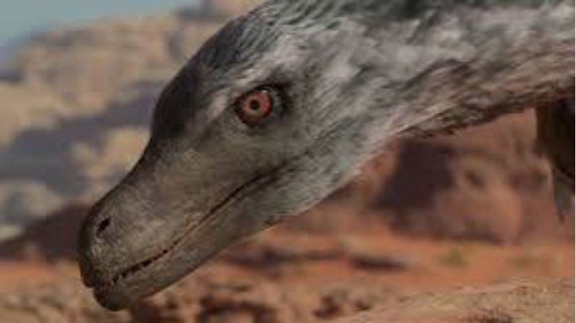 Prehistorik planet belgeseline ait Velociraptor tasviri