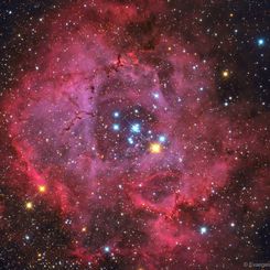  The Rosette Nebula 