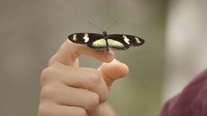 Heliconius Cinsi Kelebekler, Işık Miktarına Bağlı Olarak Gözümüzün Önünde Yeni Türlere Evrimleşiyor!