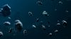 Gelişmiş Foton Kaynağı, 162173 Ryugu Asteroidinin 4 Milyar Yıllık Yolculuğuna Işık Tutuyor!