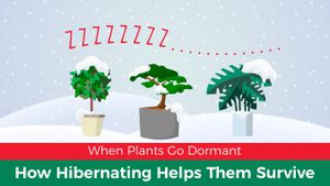 Dormancy: More Than Just a Plant Thing?