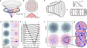 Unveiling the Mysteries of Quantum Gravity: Insights from Levitated Milligram Masses