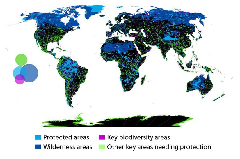 Açık mavi alanlar; korunan alanlar, koyu mavi alanlar; yabanıl alanlar, eflatun renkli alanlar; biyoçeşitliliğin kilit olduğu alanlar, yeşil renkli alanlar ise korunmaya ihtiyaç duyan alanlar.