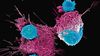 Kanser Tedavisinde Canlı İlaçlar: İmmünoterapi ve CAR-T Hücreleri
