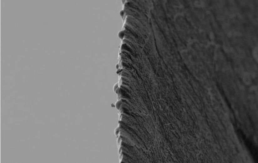 Bir bıçağın keskin tarafının mikroskop altındaki görüntüsü.