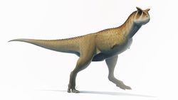 Carnotaurus: Kretase Dönemi’nin Boynuzlu Yırtıcısı