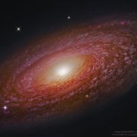 Yakındaki Devasa Sarmal Galaksi NGC 2841