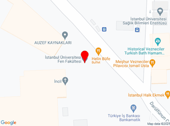 İstanbul Üniversitesi Fen Fakültesi  Vezneciler Kampüsü Feza Gürsey Amfisi