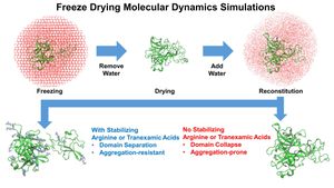 Can We Finally Capture The Elusive Transition State In Reactions?