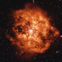  Wolf-Rayet Star 124: Stellar Wind Machine 
