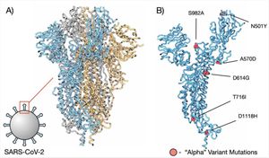 Scientists Illuminate Paths For Designing Better COVID-19 Drugs