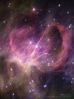Webb'den IC 348 Yıldız Kümesi