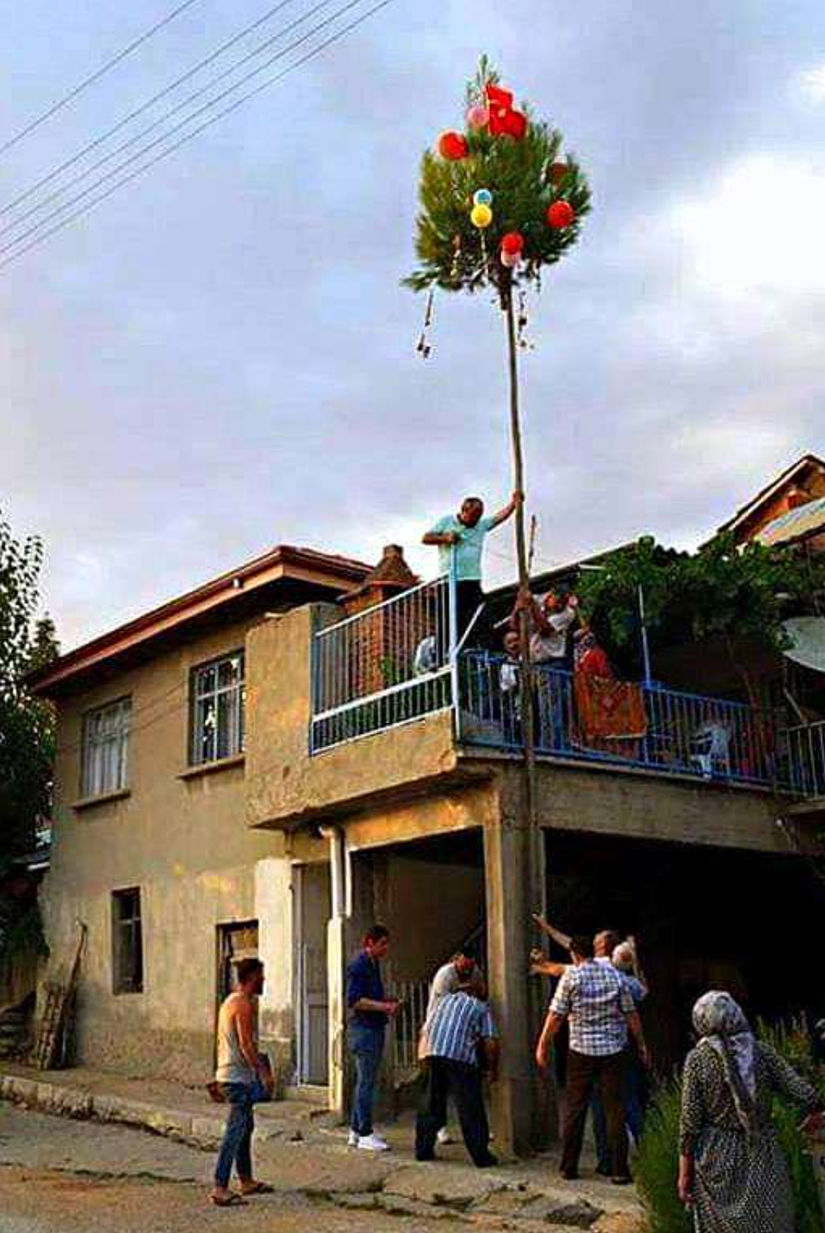 Denizli'nin Çal İlçesi, Akkent Mahallesi'nde (Zeyve) düğün evlerine dikilen Dorlak Ağacı geleneği Nardugan Kutlamaları'ndan bir kalıntıdır. Zamanla bu çam ağaçlarına balonlar ve başka süsler ilave edilmiştir.