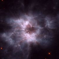 NGC 2440: Cocoon of a New White Dwarf 