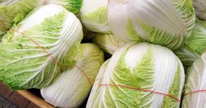 South Korea Faces Rising Cabbage Prices Amid Economic Struggles