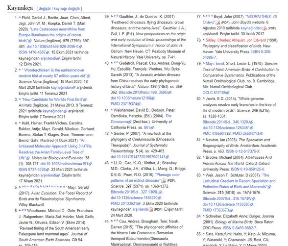 Vikipedi kaynakça bölümünü gösteren bir görsel.