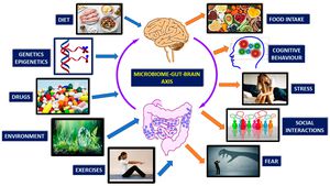 Revolutionizing Health: The Surprising Impact of Gut Bacteria on Mental Health