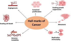 Investigating the Mysterious Mechanisms of Biomolecular Condensates