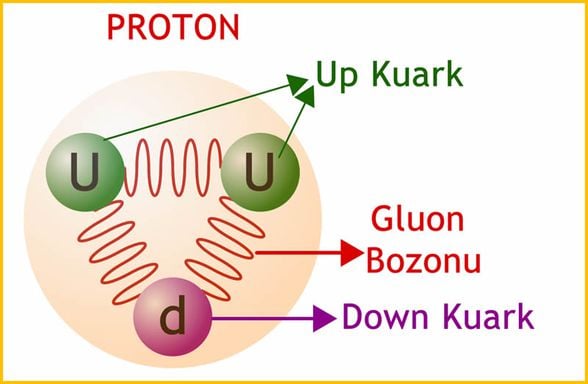 Proton Kuark Gluon ilişkisi