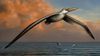 Pelagornis sandersi: Dünyanın Uçabilen En Büyük Kuşu!