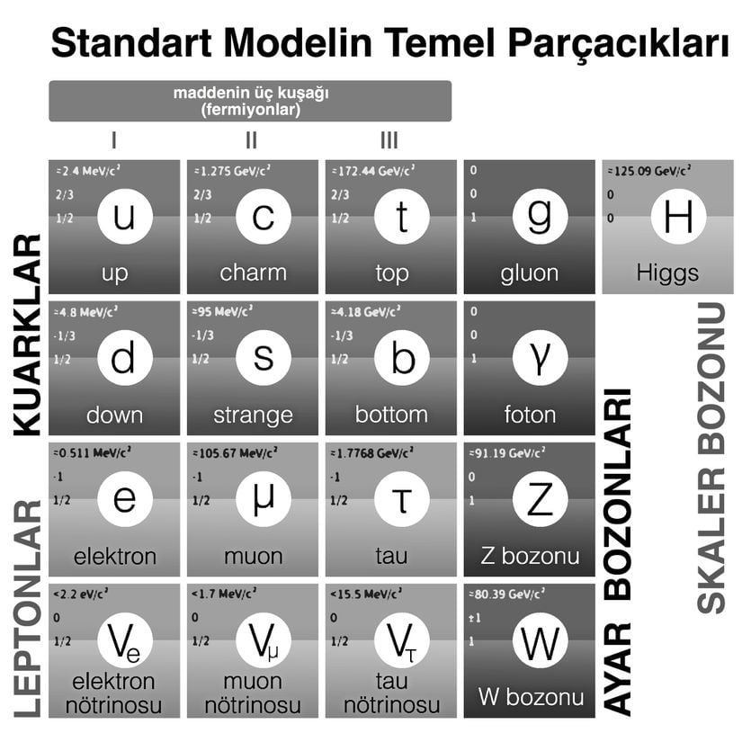 Görsel 2: Fizikteki Standart Modele ait temel parçacıklar