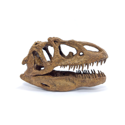 Allosaurus Mini Seramik Heykel