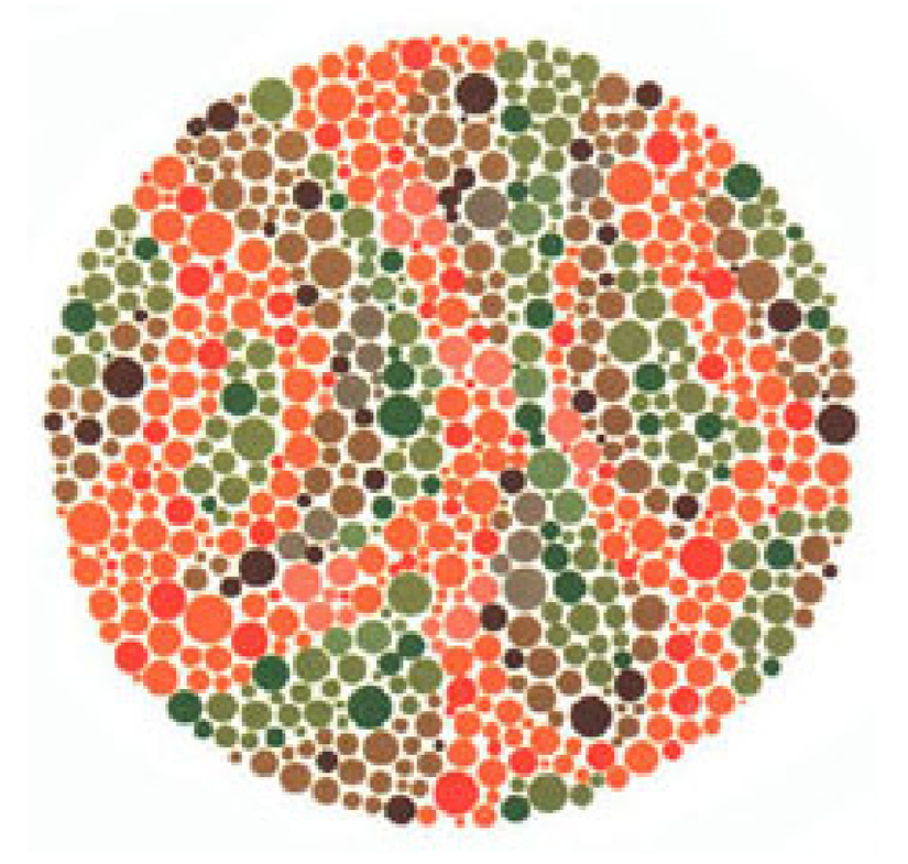 Plaka 18: Normal görüşlüler hiçbir sayı görmezler, kırmızı-yeşil renk körleri 5 görürler.