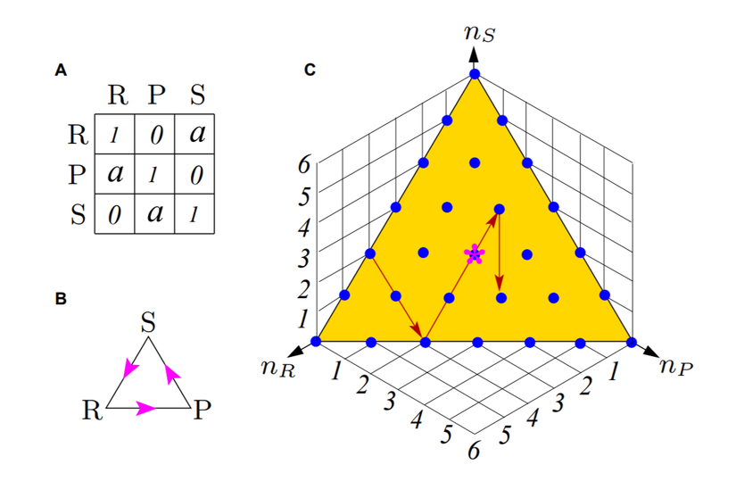 Taş-Kağıt-Makas Oyunu. (A) Her matriks girdisi, satırdaki aksiyonun başarısını gösteriyor. (B) 3 olası tercih arasındaki geçişken olmayan baskınlık ilişkisi (taş makası yener, kağıt taşı yener, makas kağıdı yener). (C) Popülasyon büyüklüğü 6 olan bir grubun sosyal durum düzlemi. Her dolu nokta, bir sosyal duruma işaret eder. Yıldız, düzlemin sentroididir. Oklar, ilk 3 turdaki sosyal durum geçişlerini gösterir.
