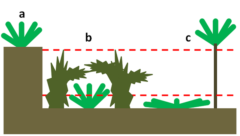 Görsel 1: Konumsal korunaklar Bitkiler, yukarıdaki görselde gösterildiği gibi, otçulların ulaşamadığı alanlarda büyüyerek otçulluğun etkilerini azaltabilir. Kırmızı kesik çizgiler bir otçulun bitkiye erişip yiyebildiği alanı göstermektedir. Burada gösterilen korunak tipleri (a) uçurumun ya da platonun tepesindeki jeolojik korunaklar, (b) otçulun yaklaşmasını engelleyebilen ya da yaklaşanı uzaklaştırabilen bitkilerin altındaki biyotik korunaklar ve (c) otçulun otlama seviyesinin altında veya üstünde kalan konumsal korunaklardır.