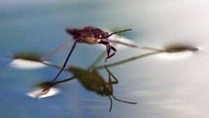 Yüzey Gerilimi Nedir? Bazı Böcekler ve Metal Cisimler Nasıl Oluyor da Suya Batmıyor?