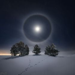Karlı Ağaçlar Üzerinde Ay Halesi
