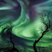Norveç Üzerinde Yaratık Aurora