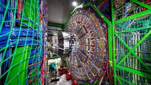 Muon Research Challenges Fundamental Physics Understanding