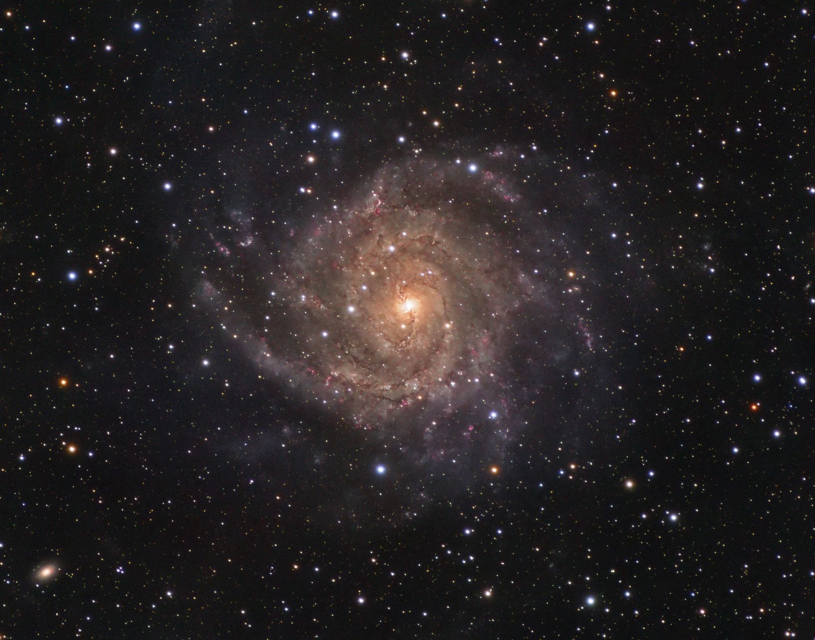  IC 342: Hidden Galaxy in Camelopardalis 